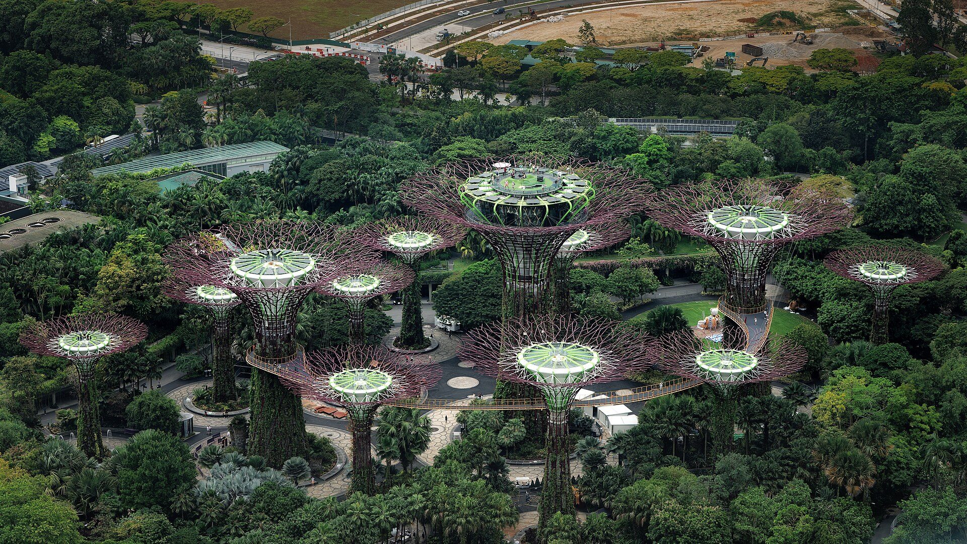 Supertree Grove from the observation platform on top of the Marina Bay Sands hotel.