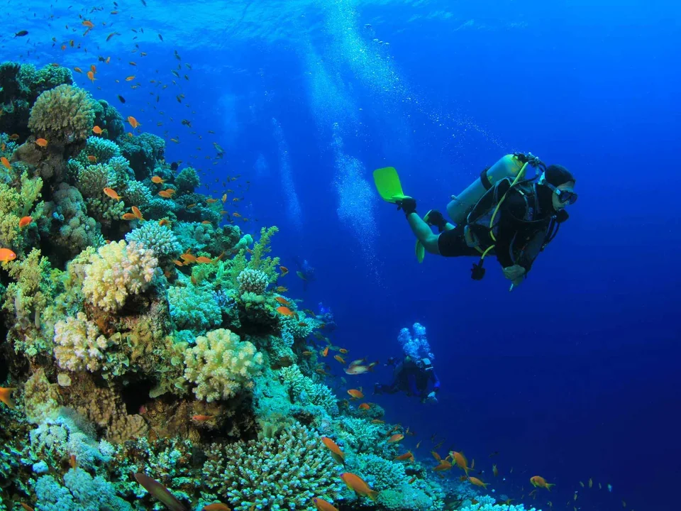 الغوص في مياه Emerald Maldives