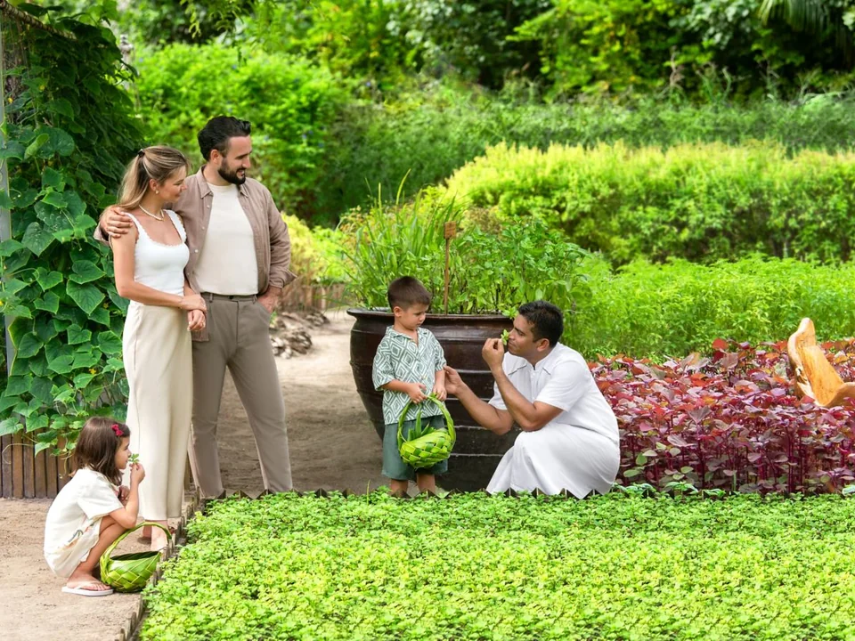 تجربة قطف الخضار مع الأطفال في JW Garden