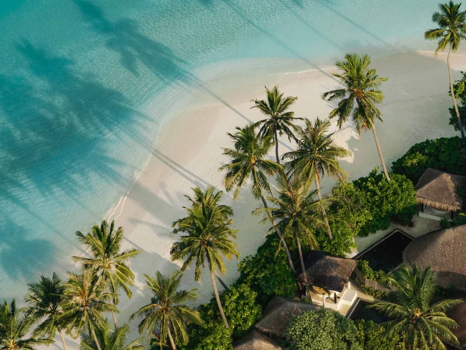 لقطة جوية علوية لفلل الشاطئ بين النخيل في Sun Siyam Iru Fushi