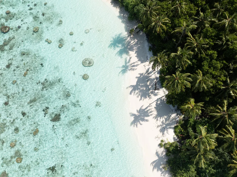 لقطة علوية لشاطئ Vilu Reef وأشجار النخيل
