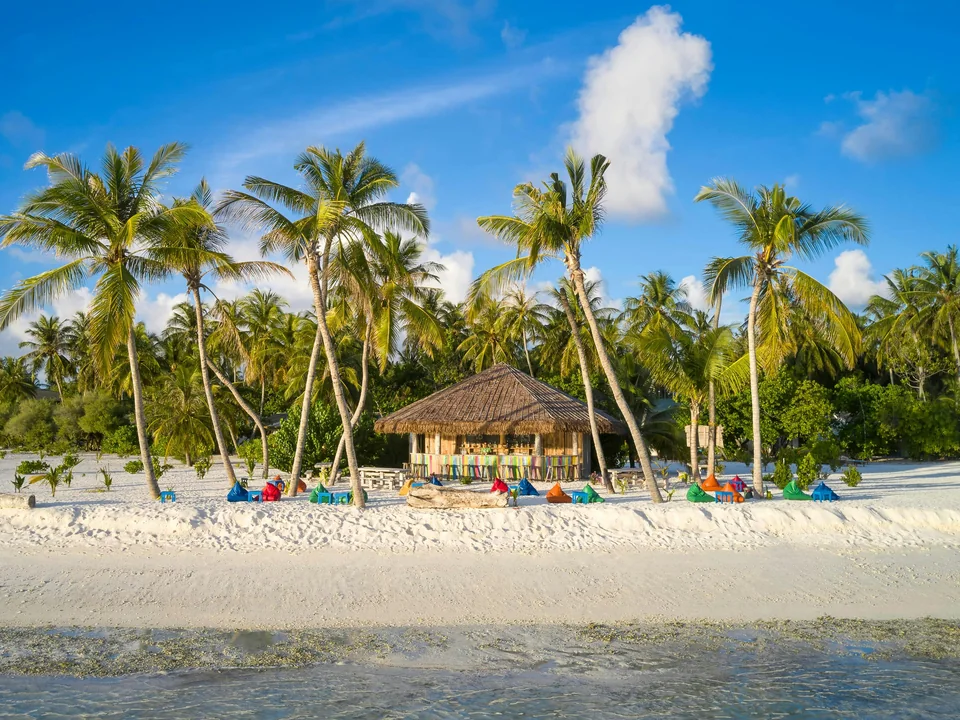شاطئ La Tropicana بين أشجار النخيل في Villa Park