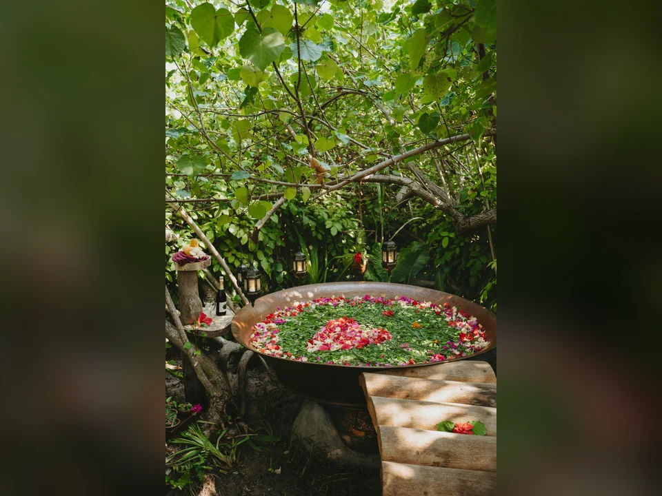 حوض الاستحمام الخارجي المزين بالزهور في Villa Park