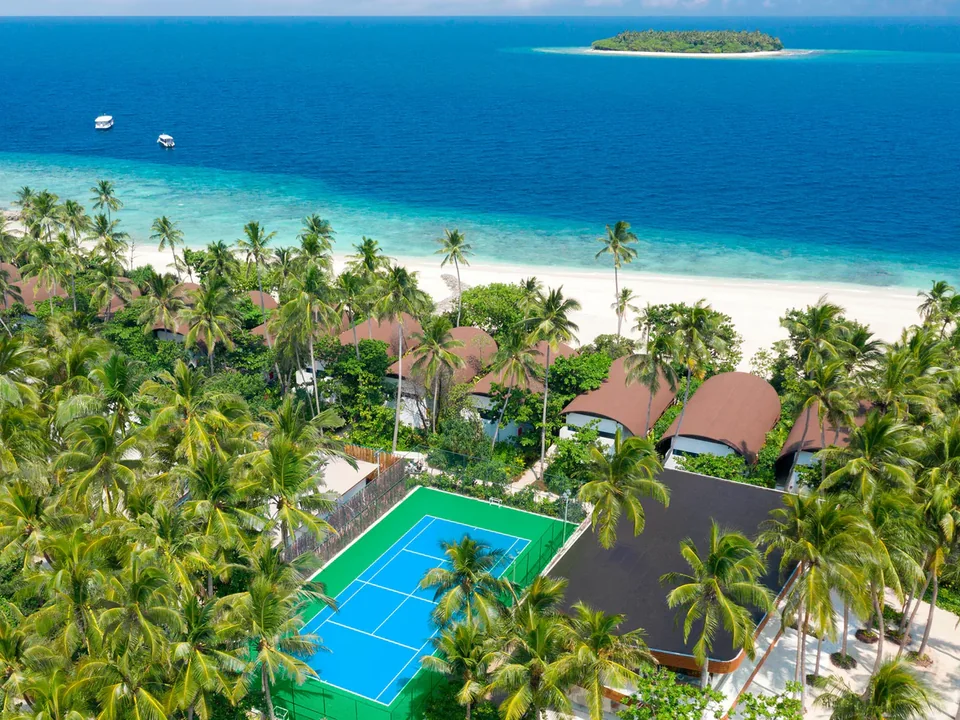 الملاعب الرياضية بين أشجار النخيل في Westin